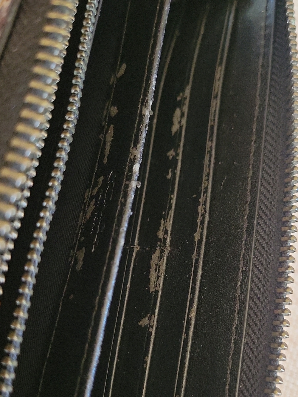 Coach Python Embossed Accordian Zip Wallet - Picture 7 of 12